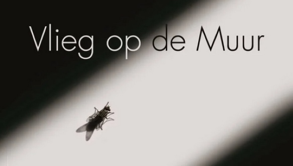 Fototentoonstelling 'Vlieg op de muur'