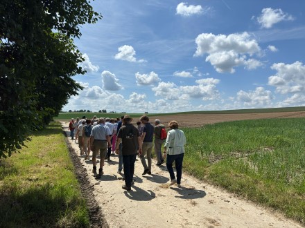 Wandelen in het spoor van Evermarus samen met de pastorale eenheid Sint-Marcus Tongeren.