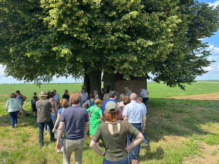 Wandelen in het spoor van Evermarus samen met de pastorale eenheid Sint-Marcus Tongeren.