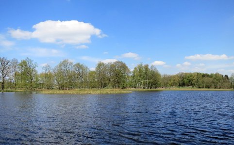 Vijver in het domein Kiewit.